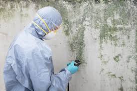 Best Mold Remediation for Healthcare Facilities  in Muenster, TX